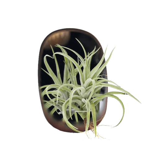 120-1846395152e511b8487afc1278659883-640x640 2-min