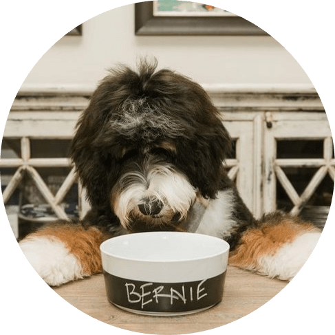 Mask Groпсиналохматаяup